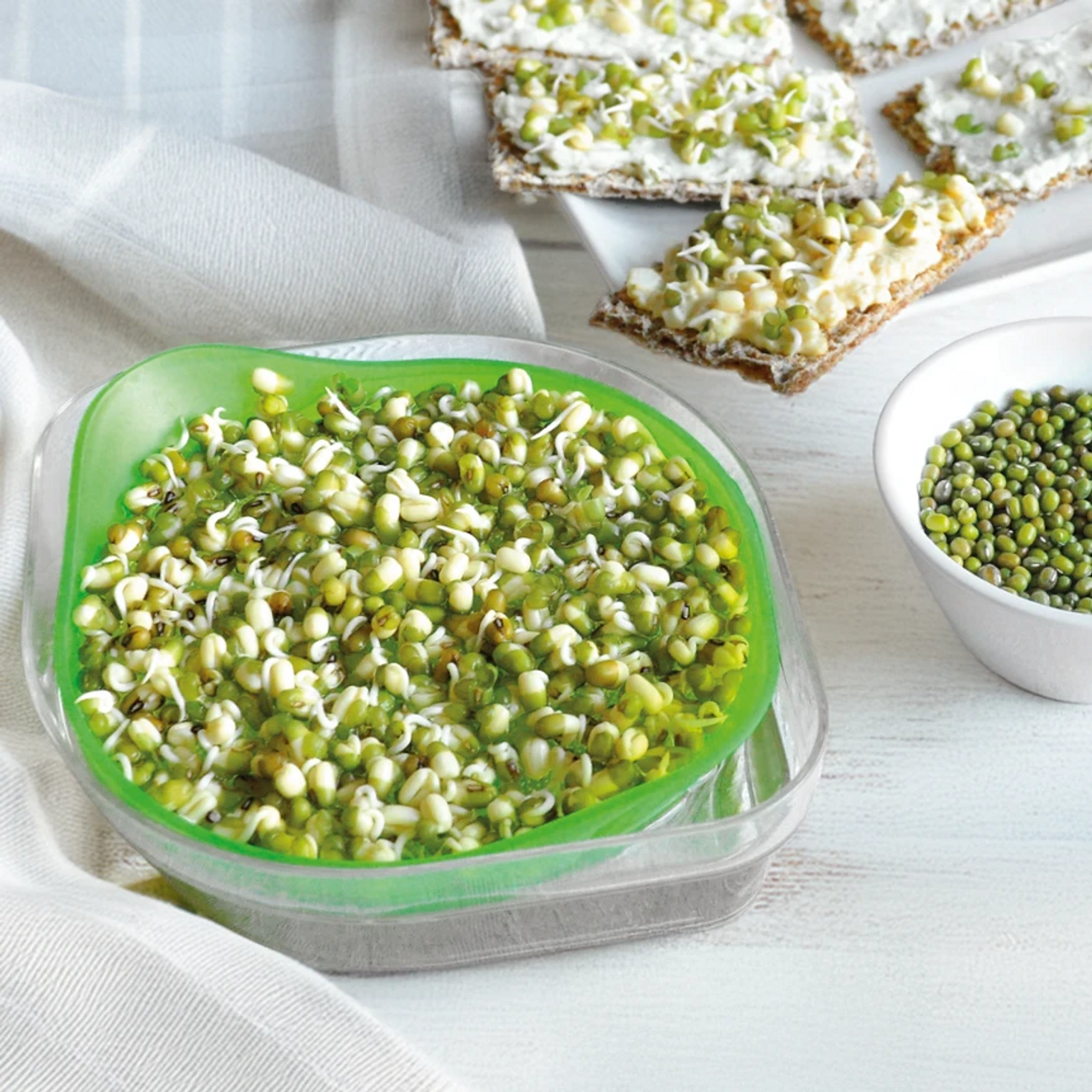 Vypestujte si zdravie na parapete