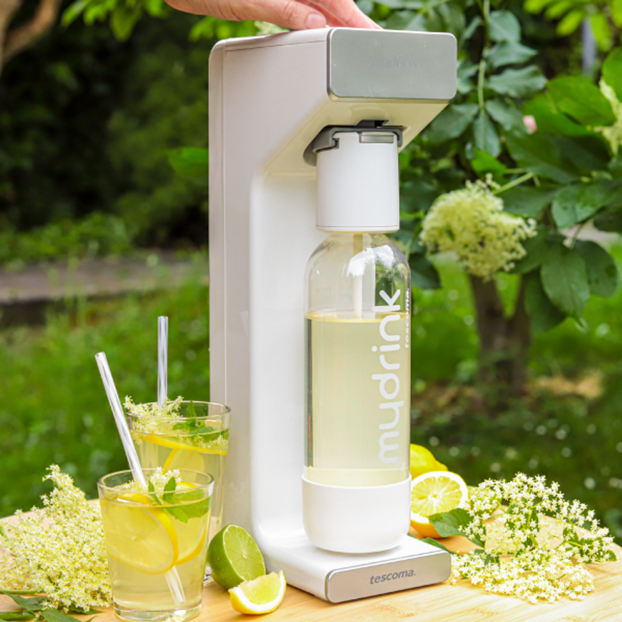 Rozkvetlé jarní pečení a stolování