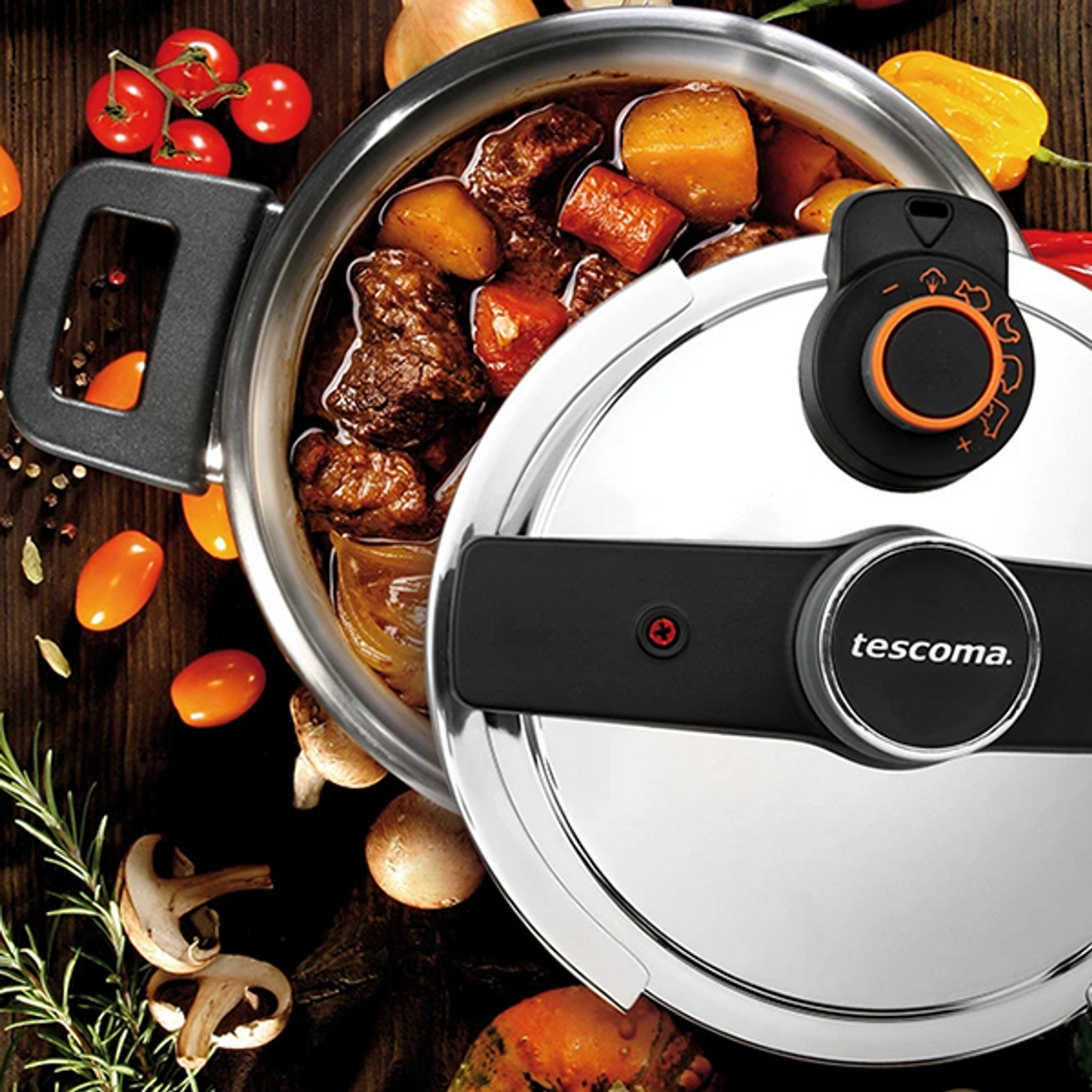 Wie einen Schnellkochtopf wählen?