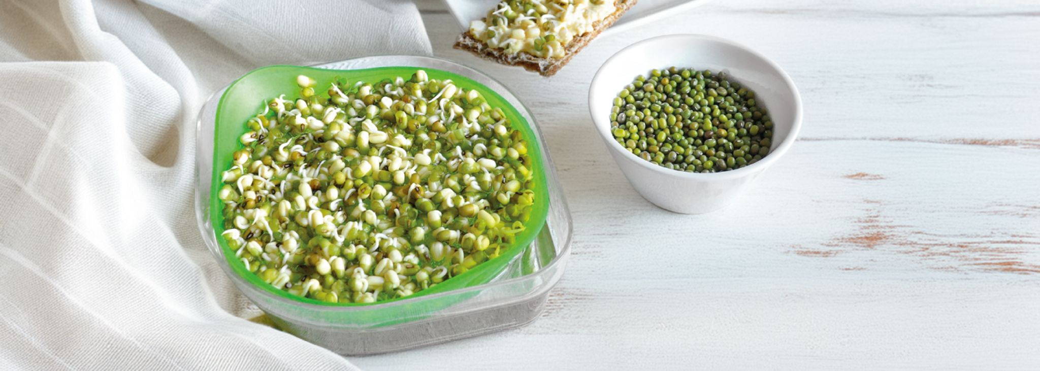 Az egészség zöld színe az ablakpárkányodon!