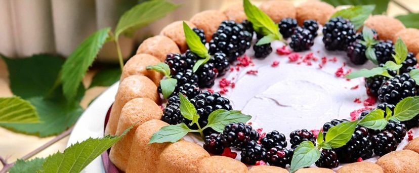 Babka z makiem i jeżynami