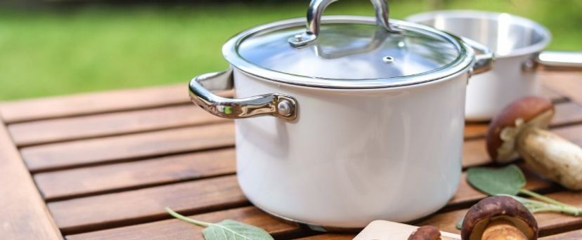 Pilzsaison in der Küche eröffnet