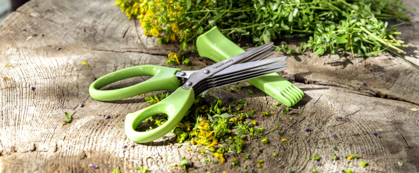 Zöld finomság zöldcsütörtökre – íme, egy szuper recept!