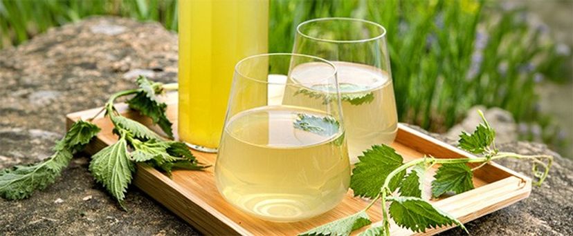 Kopřivový sirup