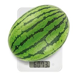 Balança de cozinha digital ACCURA 15.0 kg
