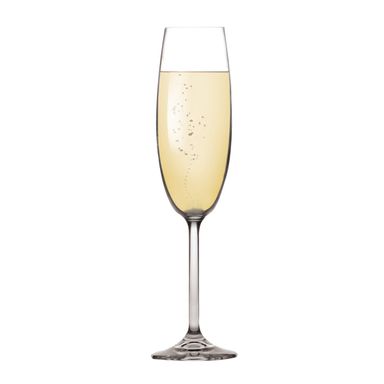 Champagne glasses CHARLIE 220 ml, 6 pcs