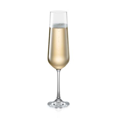 Champagnerglas Sektglas GIORGIO 200 ml, 6 St.