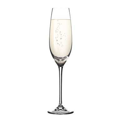 Champagnerglas Sektglas SOMMELIER 210 ml, 6 St.