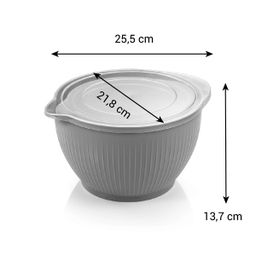 Ciotole in plastica con coperchio DELÍCIA, 2 pz
