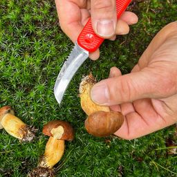Coltello per funghi tascabile MOVE
