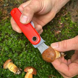 Coltello per funghi tascabile MOVE