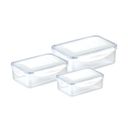 Container FRESHBOX 3 pcs, 1,0 - 1,5 - 2.5 l, rectangular