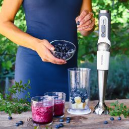 Cordless immersion blender GrandCHEF, with accessories