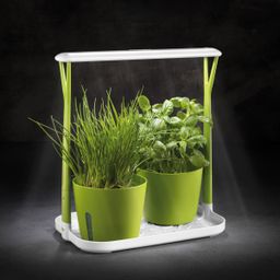 Cultivador de ervas SENSE, com luz LED