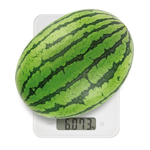Cyfrowa waga kuchenna ACCURA 15,0 kg (zdjęcie 4)