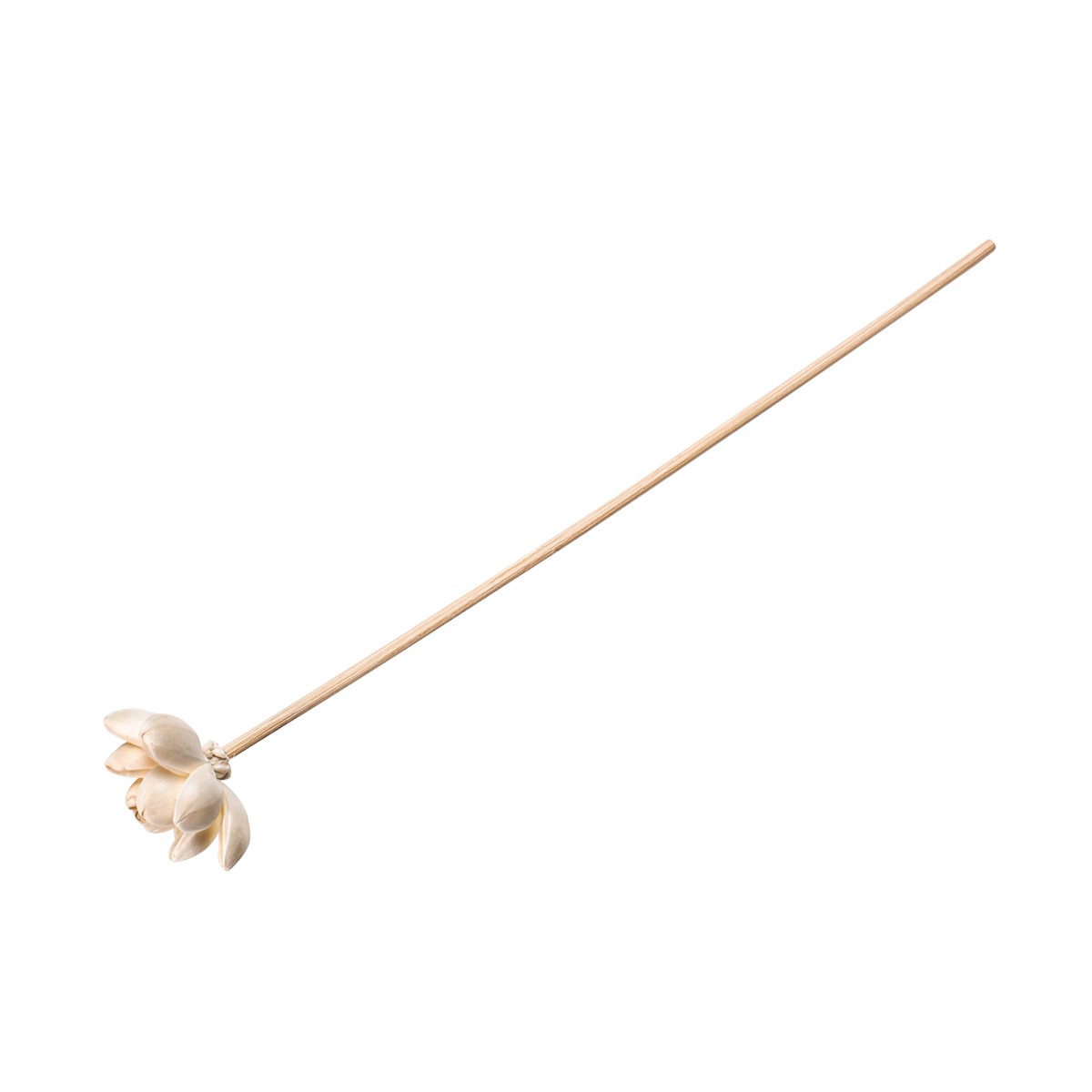 Deko-Rattanstäbchen FANCY HOME, Blume
