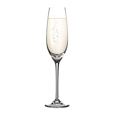 Flute Champagne Sommelier UNO VINO 210 ml, 6 pz