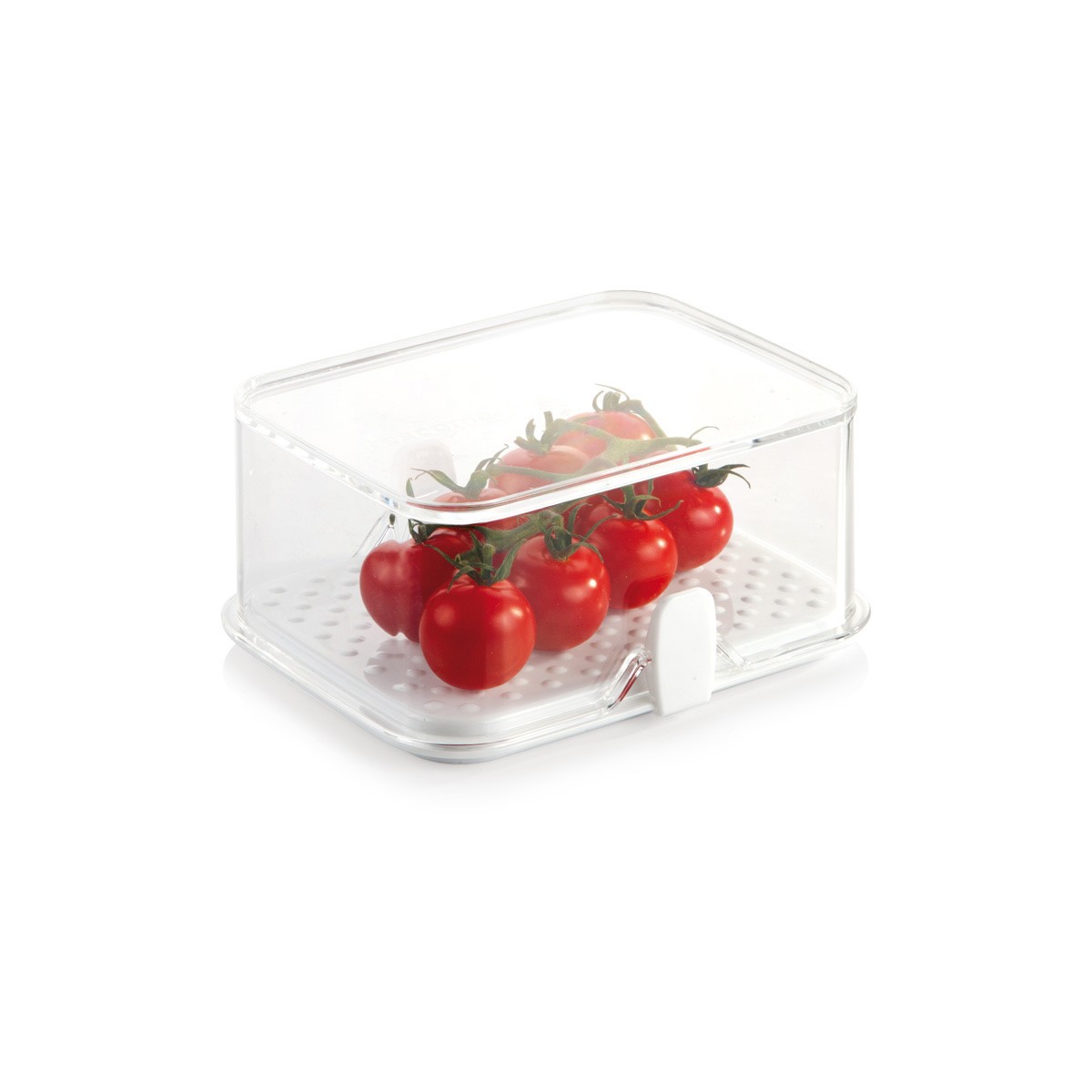 Gesunde Kühlschrank-Dose PURITY 14x11 cm