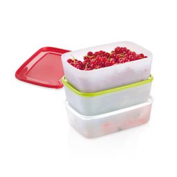 Healthy containers for the freezer PURITY 1.0 l, 3 pcs