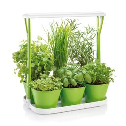 Herb cultivator SENSE, with LED light