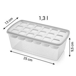 Ice mould with container myDRINK, cubes