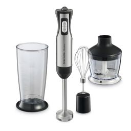 Immersion blender PRESIDENT, with accessories