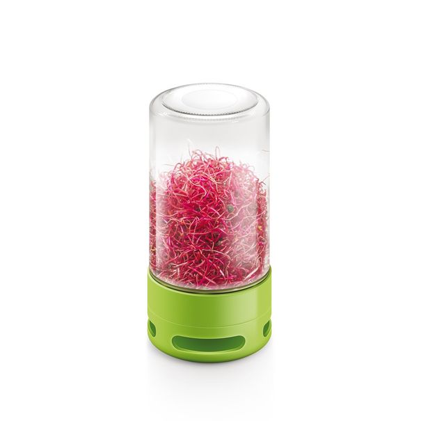 Keimglas SENSE