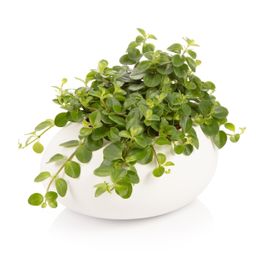 Large plant pot FANCY HOME Stones, white