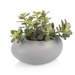 Large plant pot FANCY HOME Stones, grey