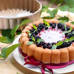 Imagen de Molde DELÍCIA ø 24 cm