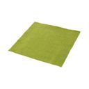 Napkins FANCY HOME, green