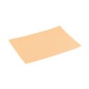 Place mat FLAIR LITE 45x32 cm, salmon