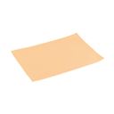 Placemat FLAIR LITE 45x32 cm, salmon