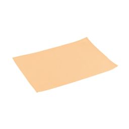 Placemat FLAIR LITE 45x32 cm, salmon