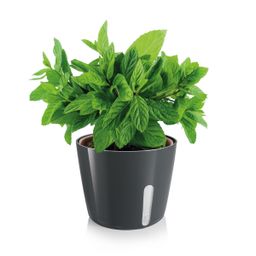Plant pot SENSE, round, white