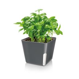 Plant pot SENSE, square, white