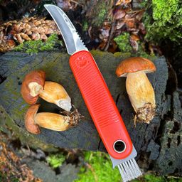 Image of Pocket mushroom knife MOVE
