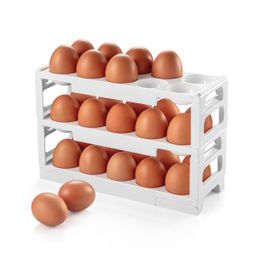 Imagem de Porta-ovos FlexiSPACE, empilhável
