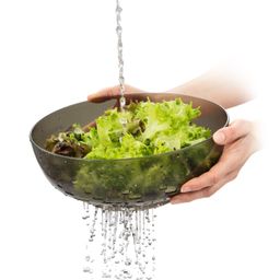 Bild von Schüssel/Schutzhaube ONLINE