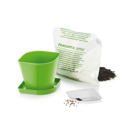 Set per la coltivazione di erbe aromatiche SENSE, origano