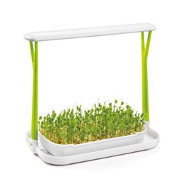 Souprava pro pěstování microgreens SENSE