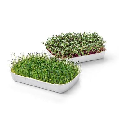 Obrázek Souprava pro pěstování microgreens SENSE