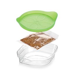Sprouting dish with seeds SENSE