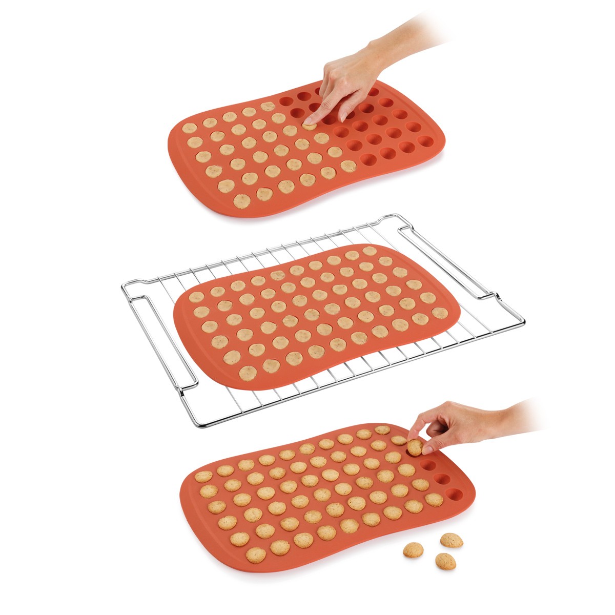 Tescoma Delícia Stampini Per Cioccolatini A Forma Di Noce - Set 24 Pezzi | Ø 5.5 Cm | Per Dolci Fatti In Casa - Foto 4