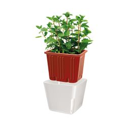 Vaso per piante SENSE, quadrato, bianco