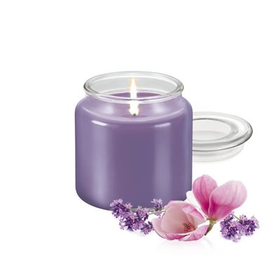 Obrázek Vonná svíčka FANCY HOME 410 g, Provence