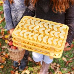 Obraz Zestaw do suszenia DELLA CASA, 3 sita