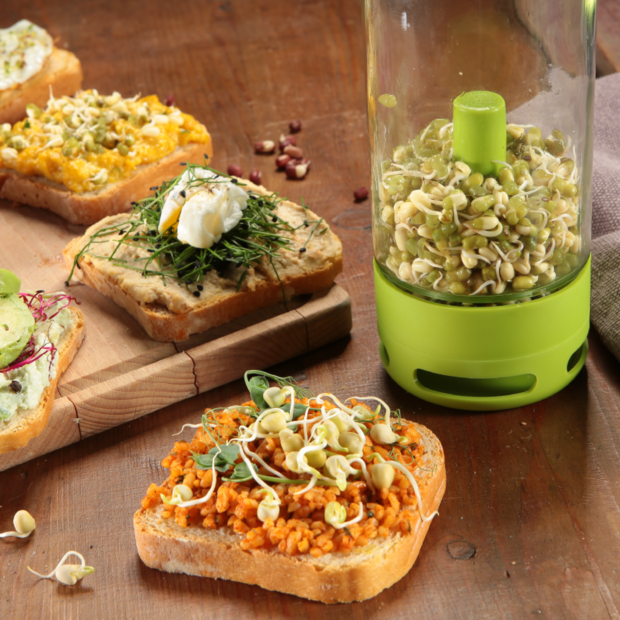 Z jej pomocą wykiełkują rośliny strączkowe, zboża i nasiona