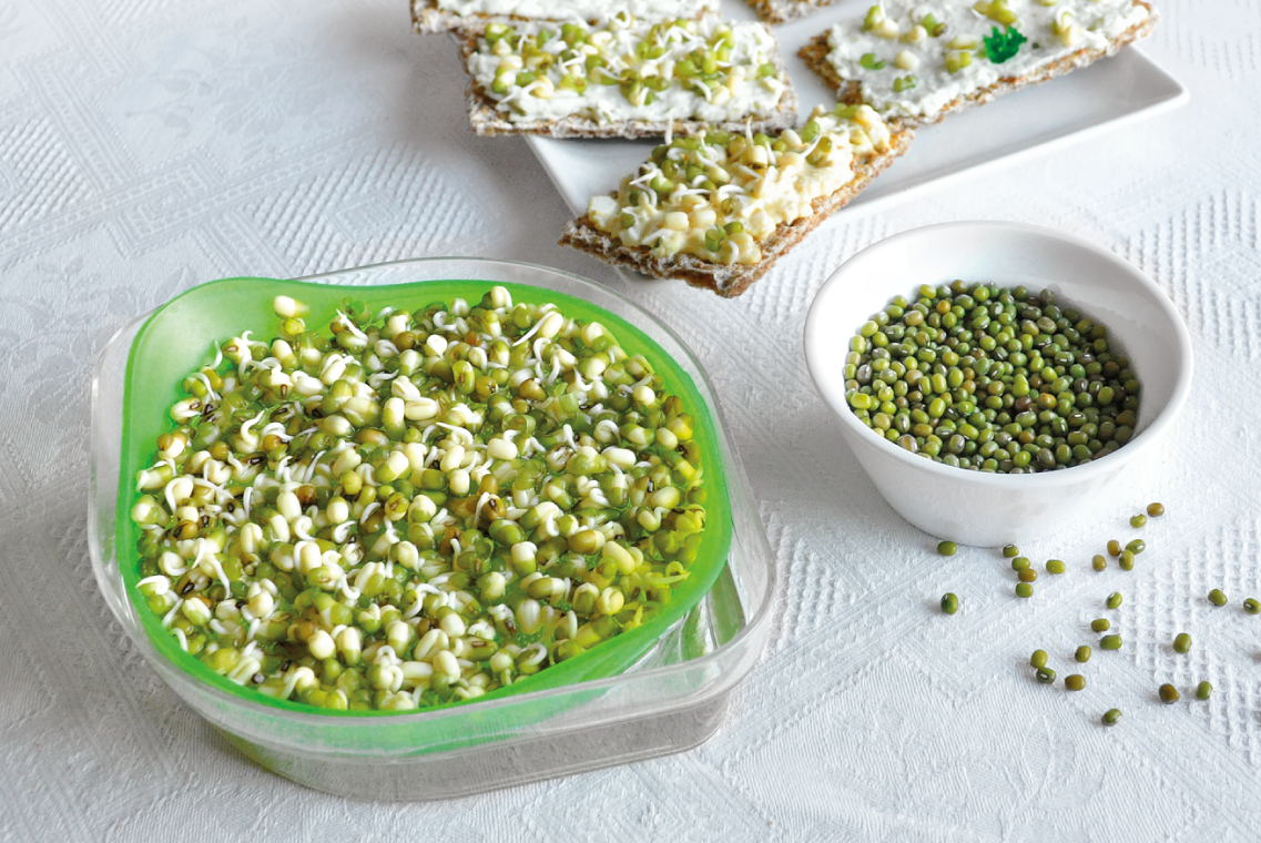 Nakličovací miska se semínky SENSE - obrázek