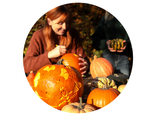 Zdjęcie przedstawia stos kolorowych dyń leżących na zewnątrz w jesiennym słońcu. Dynia na samym przodzie jest ozdobnie wydrążona we wzory liści miłorzębu dwuklapowego oraz ćmy zmierzchnicy trupiej główki. W tle rudowłosa kobieta ozdabia inną dynię przy pomocy nożyka.